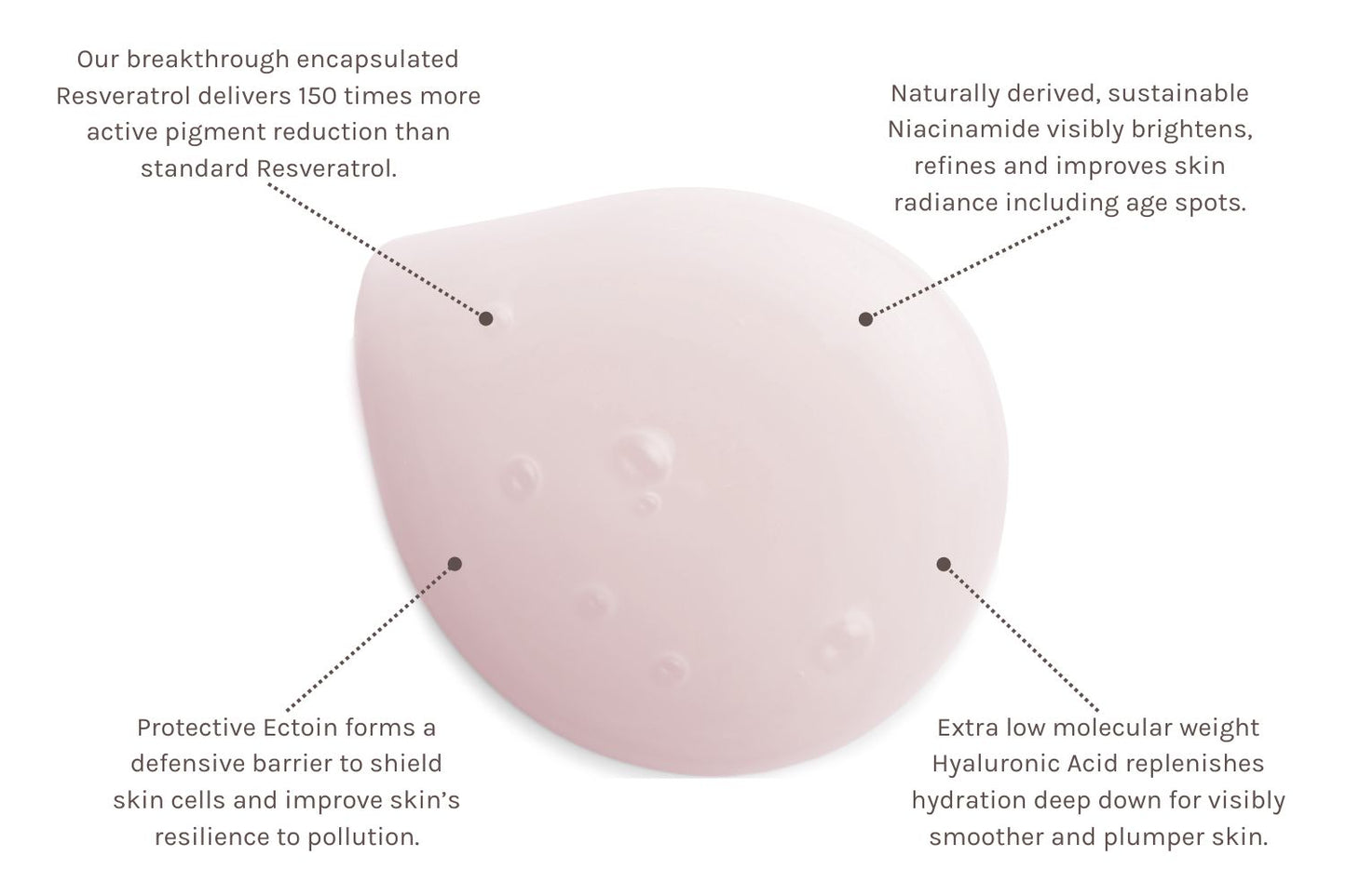 Resveratrol + Niacinamide Serum